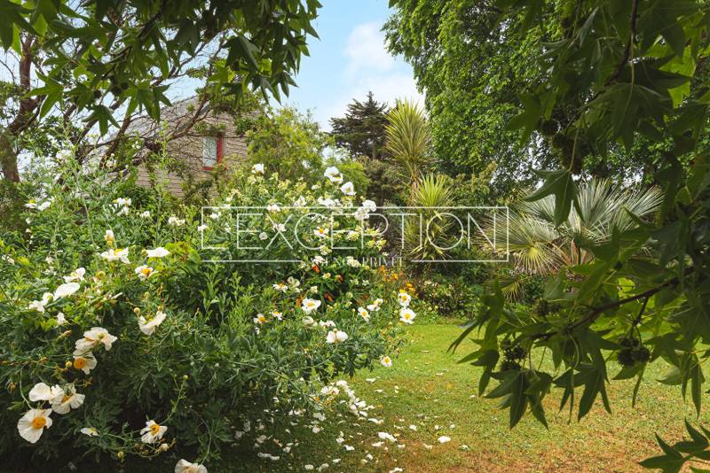 Maison en pierres sur l'île de Bréhat en Bretagne, Côtes d'Armor 3 chambres avec cheminée, jacuzzi et parc paysager