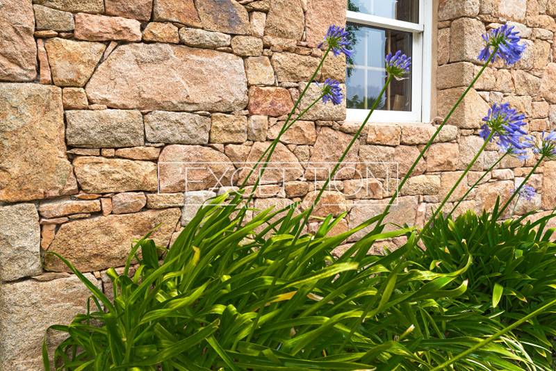 Maison en pierres sur l'île de Bréhat en Bretagne, Côtes d'Armor 3 chambres avec cheminée, jacuzzi et parc paysager