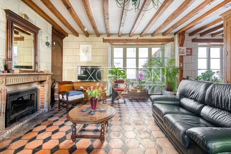 Sérénité et charme intemporel troglodyte à proximité de SAUMUR