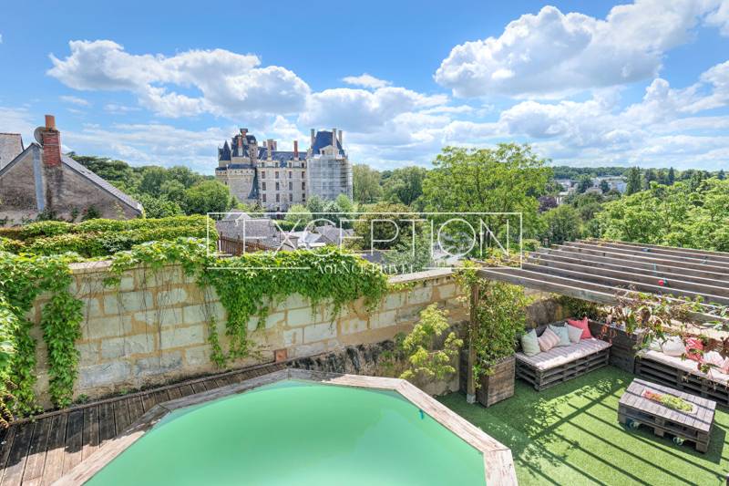 Propriété de charme au panorama unique sur le Château de Brissac