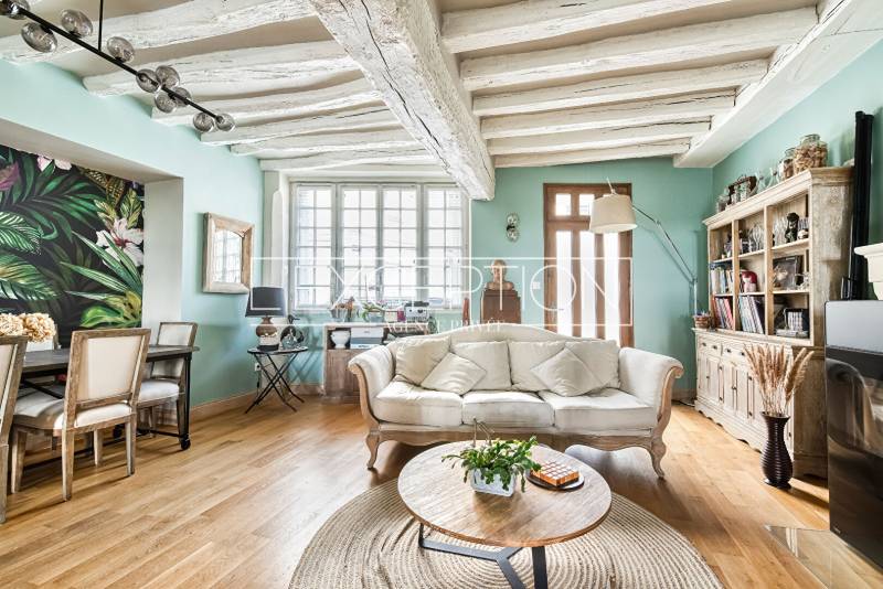 Propriété de charme au panorama unique sur le Château de Brissac